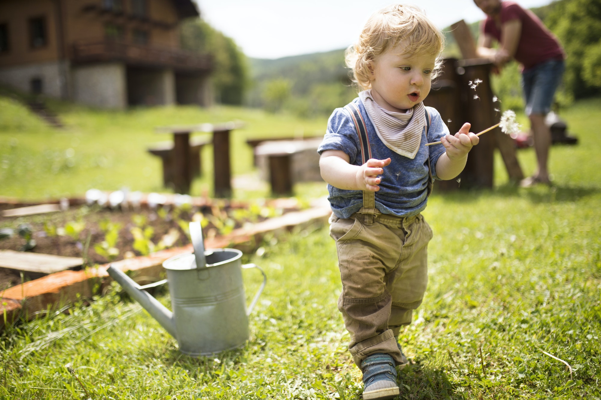 Boy in garden with watering can and father in background